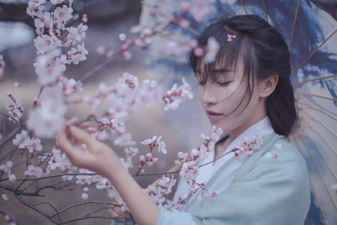 月收入千萬,網(wǎng)紅李子柒火了!背后公司注冊百余商標!
